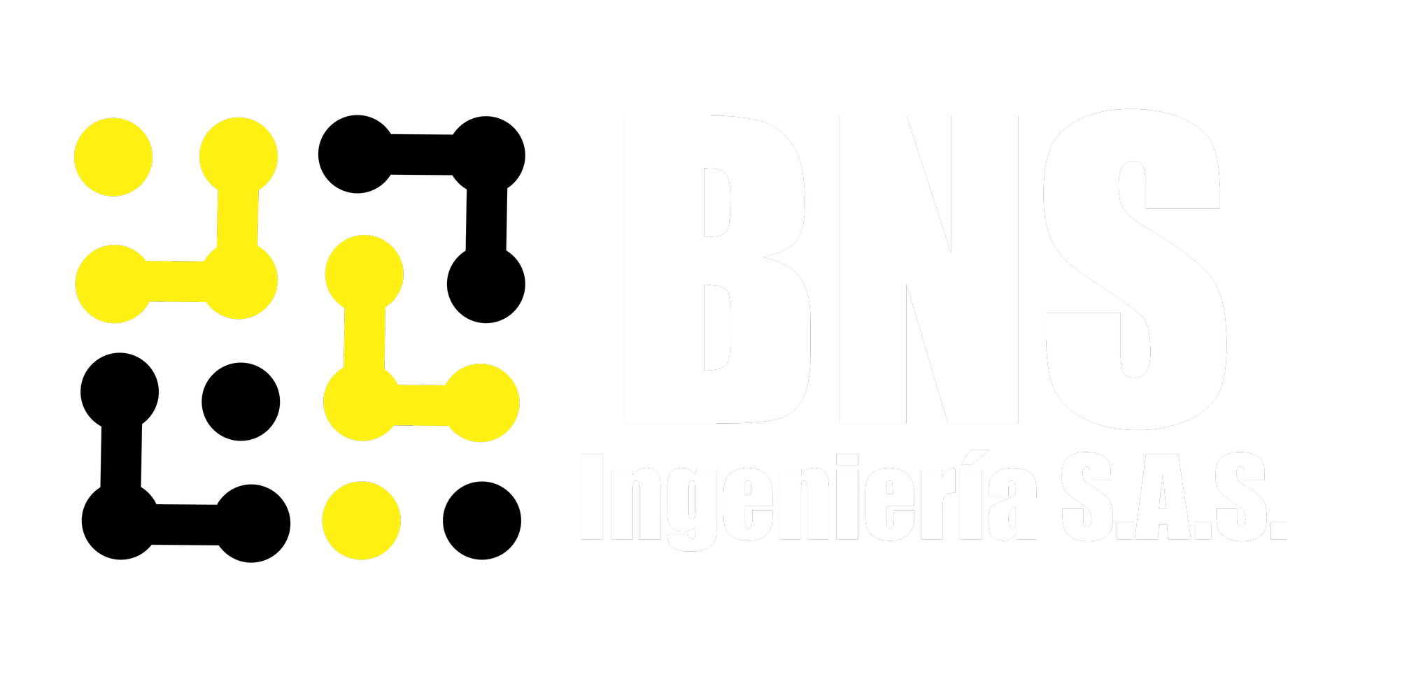 BNS Logo